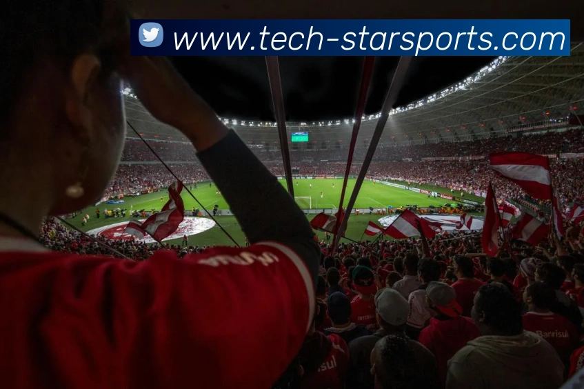 体育下注平台生态图